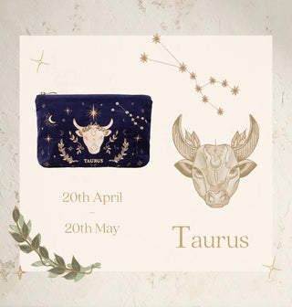 Elizabeth Scarlett Taurus Everyday Pouch Navy