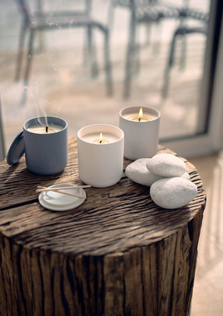 Aery Japanese Garden Scented Candle - MMJs Fashion