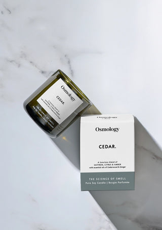Aery Osmology Cedar Scented Candle