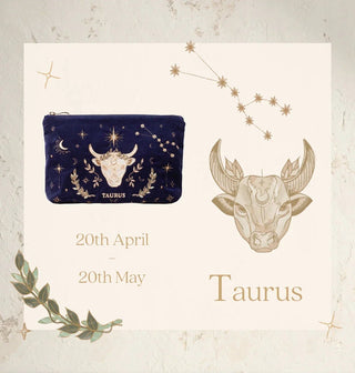 Elizabeth Scarlett Taurus Everyday Pouch Navy - MMJs Fashion
