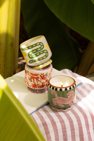 Paddywax A Dopo Jungle Ceramic Candle Coconut Amber - MMJs Fashion