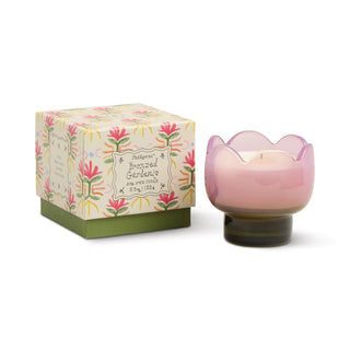 Paddywax Tulip Glass Candle Bronzed Gardenia - MMJs Fashion