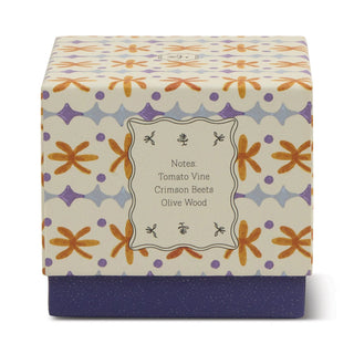 Paddywax Tulip Glass Candle Garden & Grove - MMJs Fashion