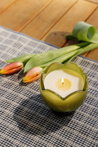Paddywax Tulip Glass Candle Verbena & Lemongrass - MMJs Fashion