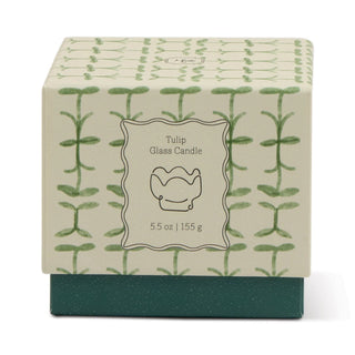 Paddywax Tulip Glass Candle Verbena & Lemongrass - MMJs Fashion