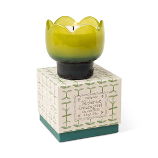 Paddywax Tulip Glass Candle Verbena & Lemongrass - MMJs Fashion
