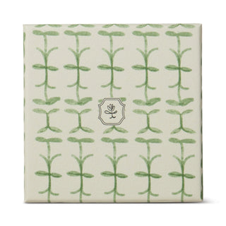 Paddywax Tulip Glass Candle Verbena & Lemongrass - MMJs Fashion