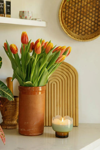 Paddywax Tulip Glass Candle Wisteria & Willow - MMJs Fashion