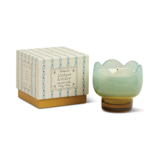 Paddywax Tulip Glass Candle Wisteria & Willow - MMJs Fashion