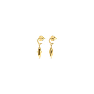 Talis Chains Oval Kite Earrings Tiger's Eye - MMJs Fashion