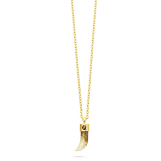 Talis Chains Shark Tooth Pendant Necklace Watermelon Skin - MMJs Fashion