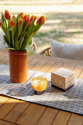 Paddywax Tulip Glass Candle Garden & Grove